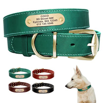 Personalized Leather Dog Collar